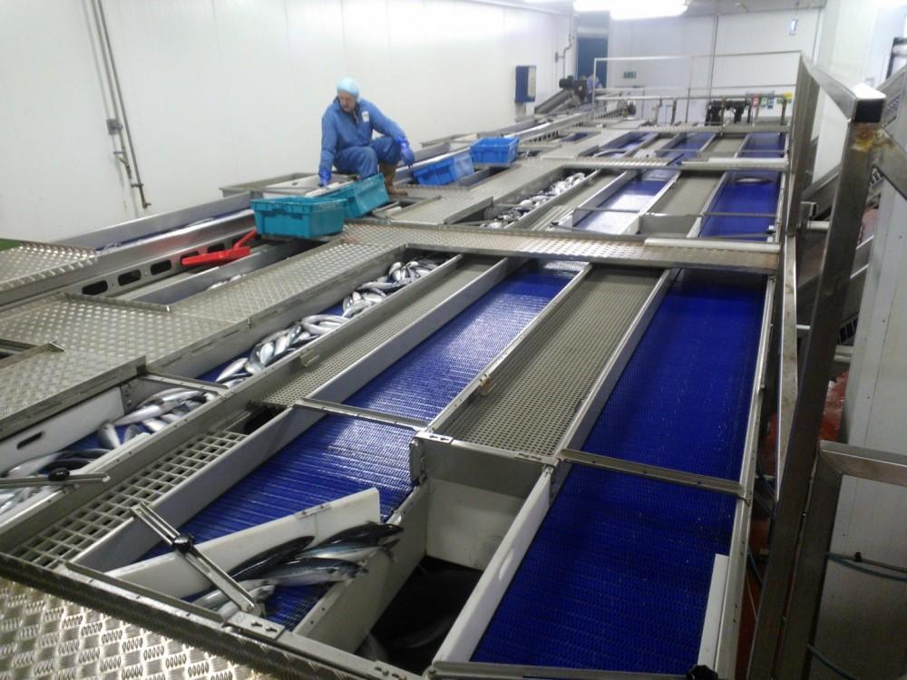 Galleries by The Conveyor Belt Company (Scotland) Ltd