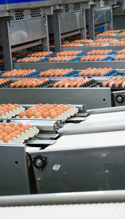 Conveyor Belts Scotland